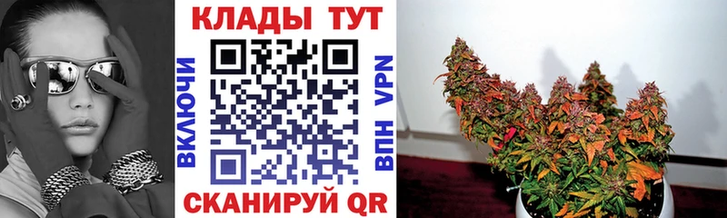 Купить наркотик аптеки Монино Кокаин Героин APVP Гашиш Меф мяу мяу Псилоцибиновые грибы