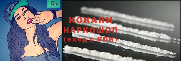 PSILOCYBIN Бородино