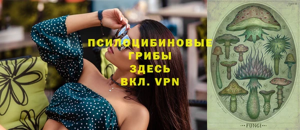 PSILOCYBIN Бородино
