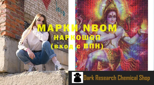 PSILOCYBIN Бородино