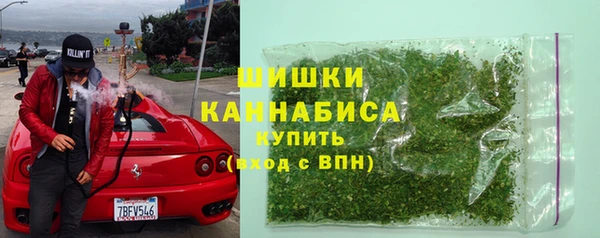 PSILOCYBIN Бородино