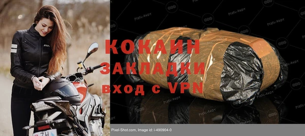 PSILOCYBIN Бородино