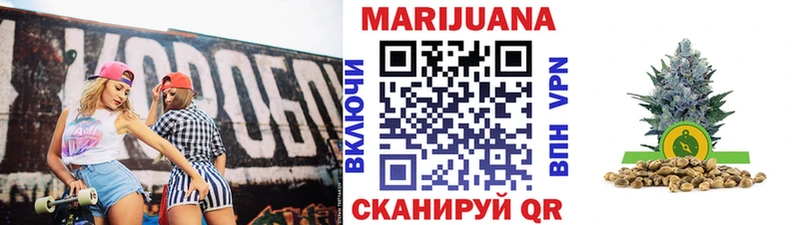 ОМГ ОМГ   Монино  Бошки марихуана план 